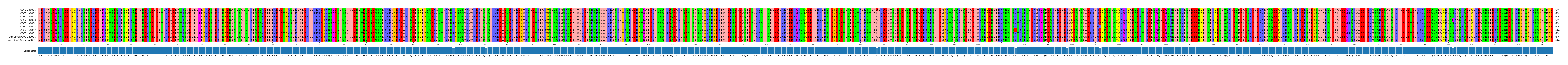 Multiple Alignments (by translate haplotype similarity)