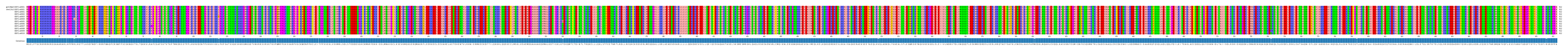Multiple Alignments (by translate haplotype frequency)