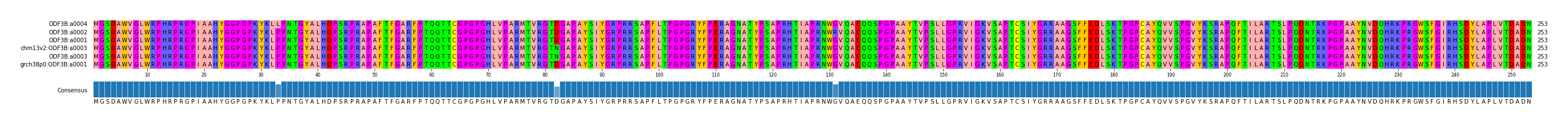 Multiple Alignments (by translate haplotype similarity)