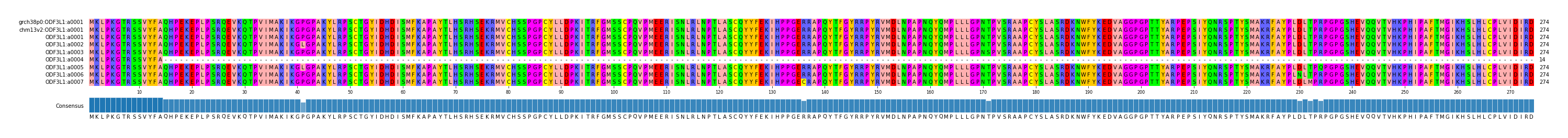 Multiple Alignments (by translate haplotype frequency)