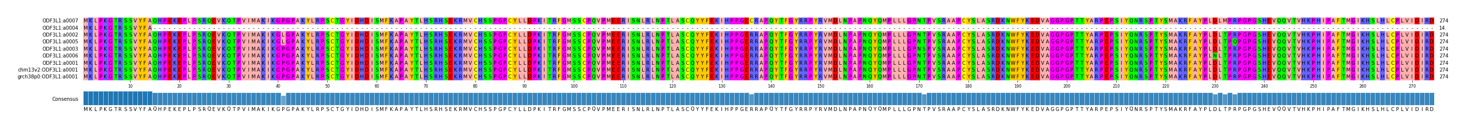 Multiple Alignments (by translate haplotype similarity)