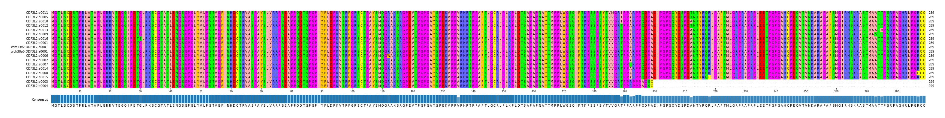 Multiple Alignments (by translate haplotype similarity)