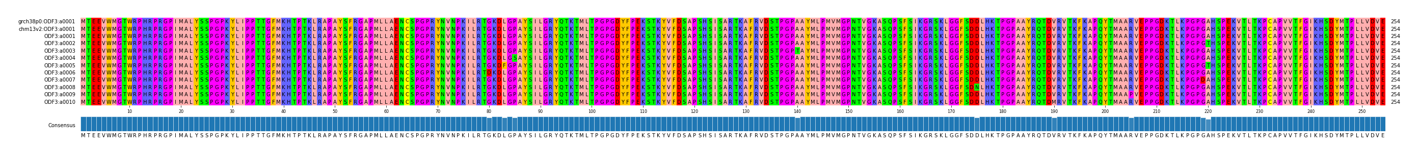 Multiple Alignments (by translate haplotype frequency)