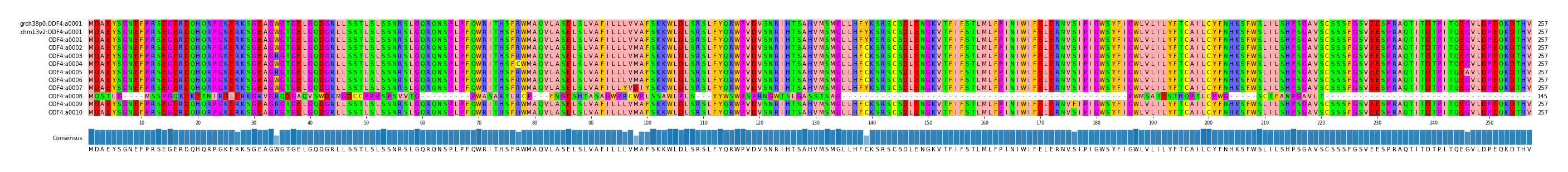 Multiple Alignments (by translate haplotype frequency)