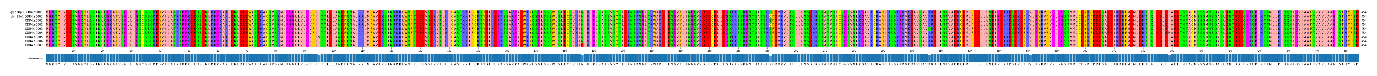 Multiple Alignments (by translate haplotype frequency)