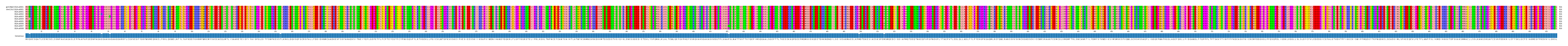 Multiple Alignments (by translate haplotype frequency)