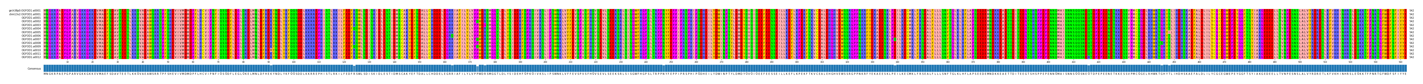 Multiple Alignments (by translate haplotype frequency)