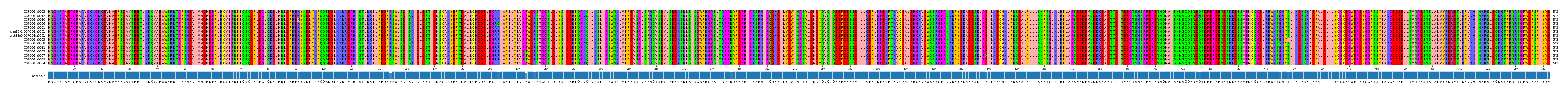 Multiple Alignments (by translate haplotype similarity)