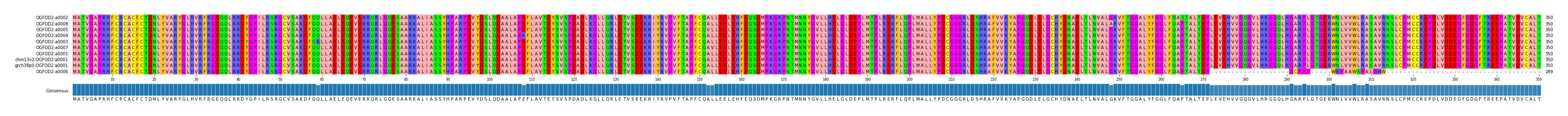 Multiple Alignments (by translate haplotype similarity)