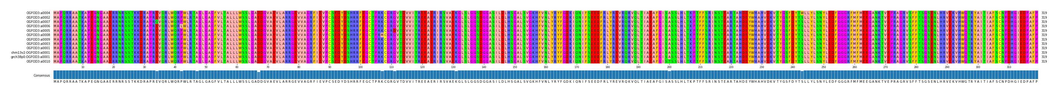 Multiple Alignments (by translate haplotype similarity)