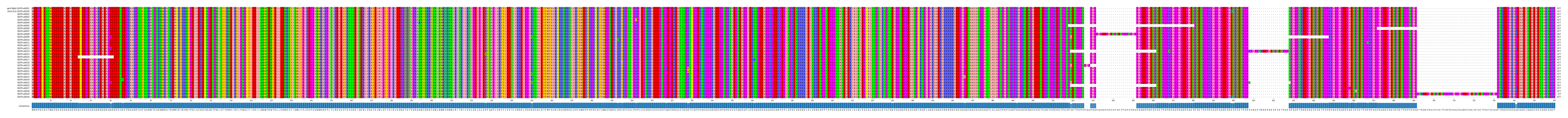 Multiple Alignments (by translate haplotype frequency)