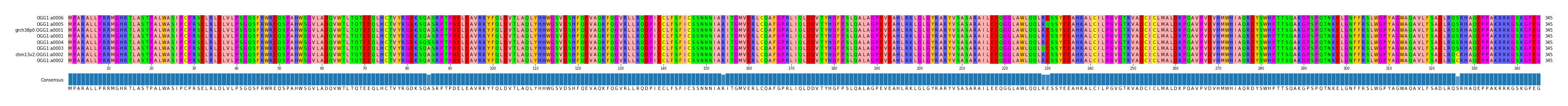 Multiple Alignments (by translate haplotype similarity)