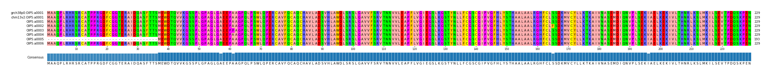 Multiple Alignments (by translate haplotype frequency)