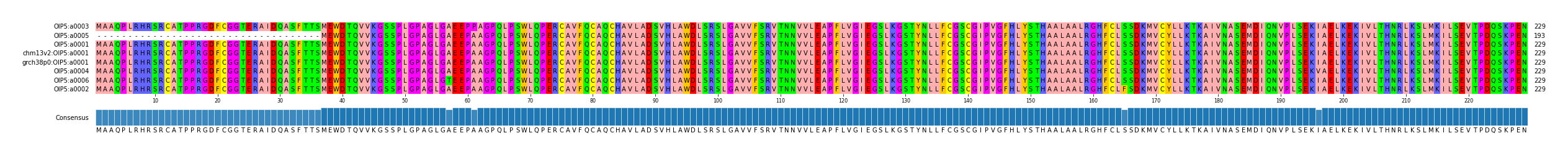 Multiple Alignments (by translate haplotype similarity)