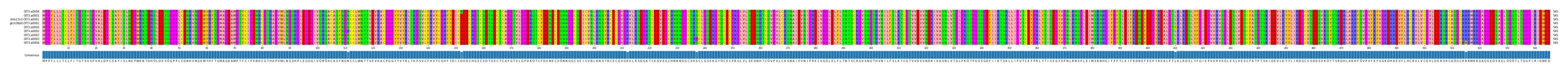 Multiple Alignments (by translate haplotype similarity)