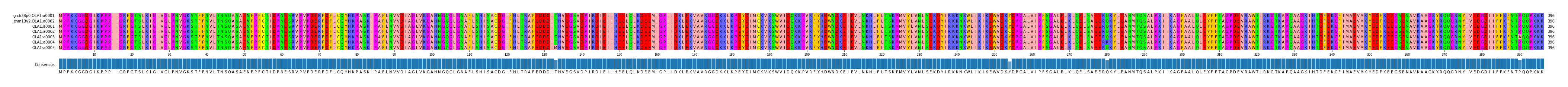 Multiple Alignments (by translate haplotype frequency)