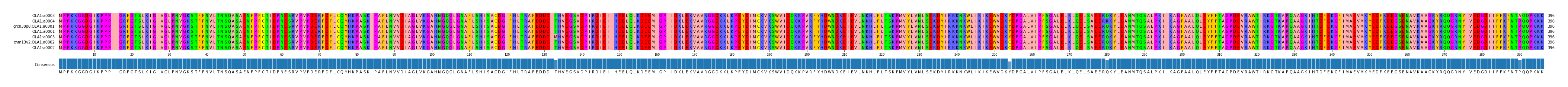 Multiple Alignments (by translate haplotype similarity)