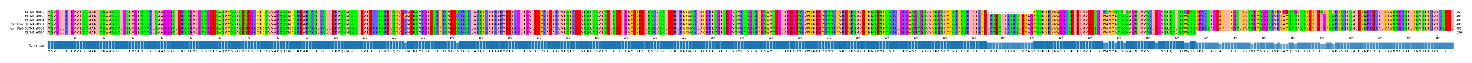 Multiple Alignments (by translate haplotype similarity)