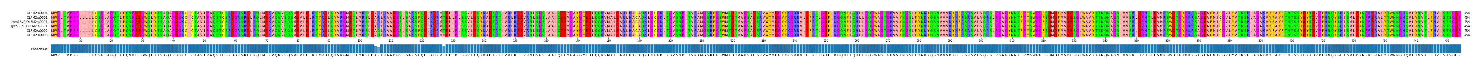 Multiple Alignments (by translate haplotype similarity)