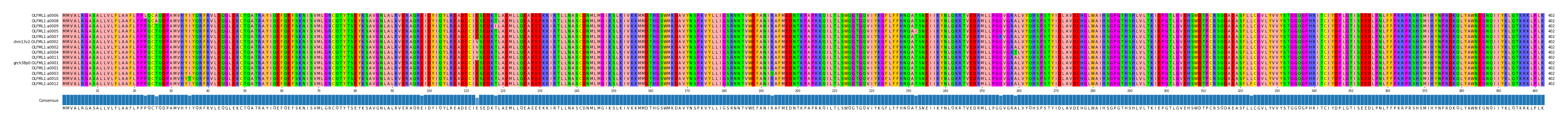 Multiple Alignments (by translate haplotype similarity)