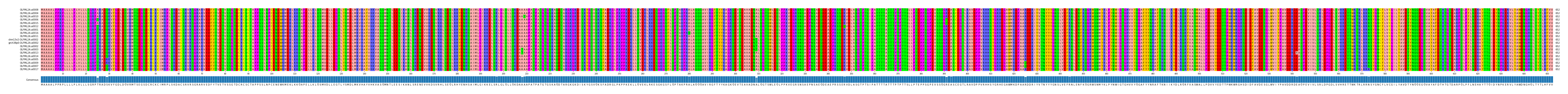 Multiple Alignments (by translate haplotype similarity)