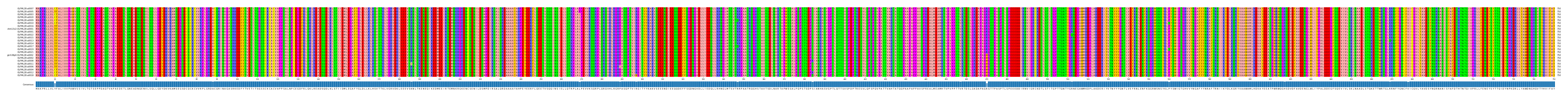 Multiple Alignments (by translate haplotype similarity)