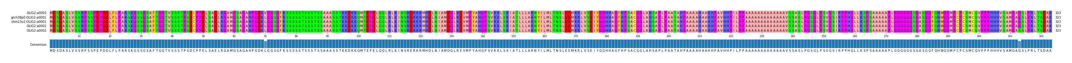 Multiple Alignments (by translate haplotype similarity)