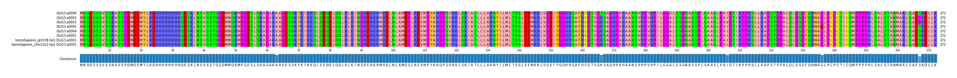 Multiple Alignments (by translate haplotype similarity)
