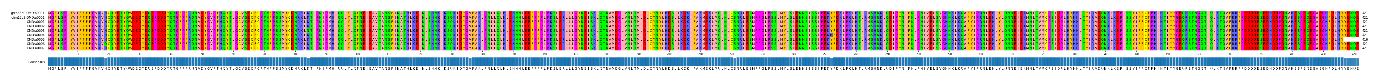 Multiple Alignments (by translate haplotype frequency)