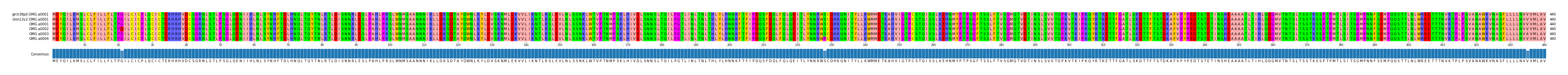 Multiple Alignments (by translate haplotype frequency)