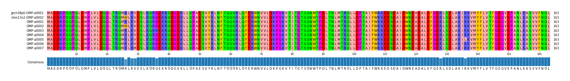 Multiple Alignments (by translate haplotype frequency)