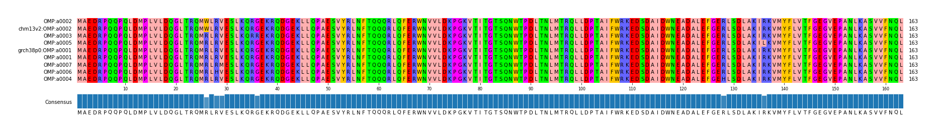 Multiple Alignments (by translate haplotype similarity)