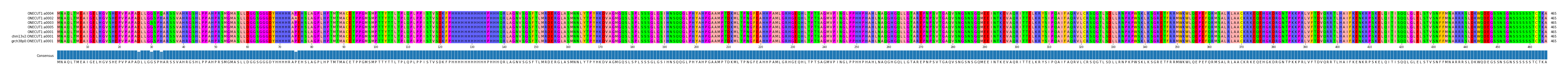 Multiple Alignments (by translate haplotype similarity)