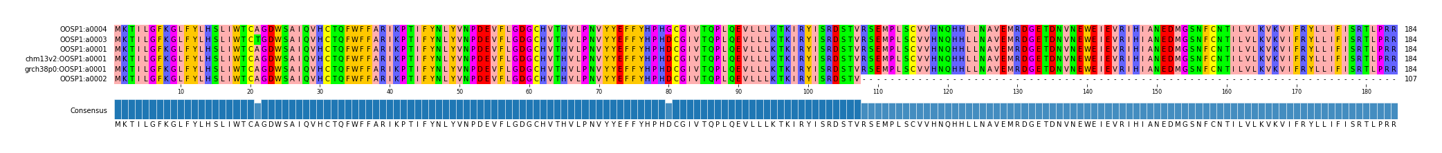 Multiple Alignments (by translate haplotype similarity)