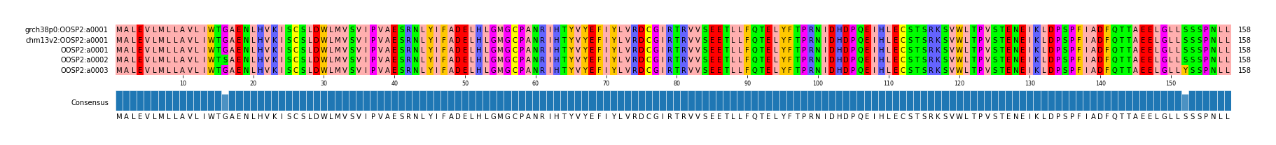 Multiple Alignments (by translate haplotype frequency)