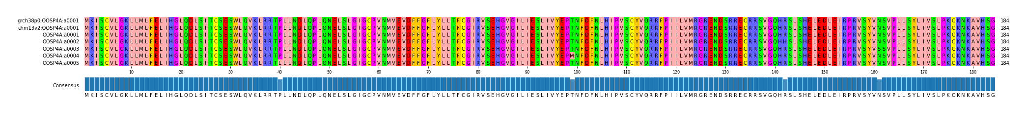 Multiple Alignments (by translate haplotype frequency)