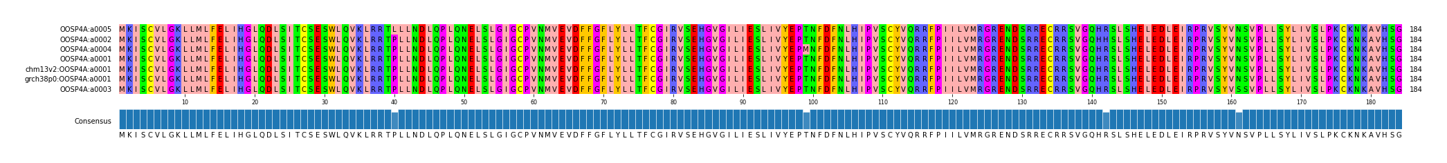 Multiple Alignments (by translate haplotype similarity)