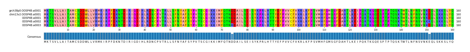 Multiple Alignments (by translate haplotype frequency)