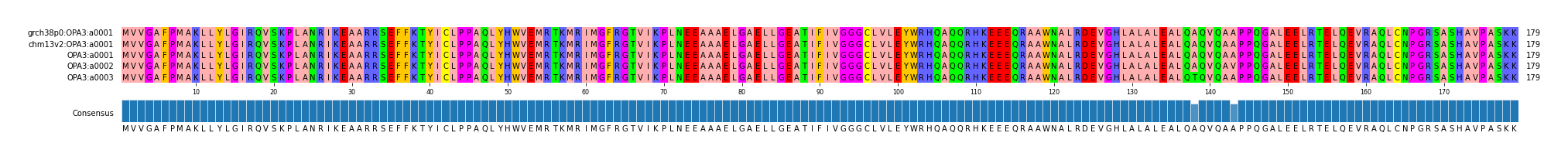 Multiple Alignments (by translate haplotype frequency)
