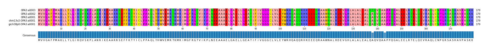 Multiple Alignments (by translate haplotype similarity)