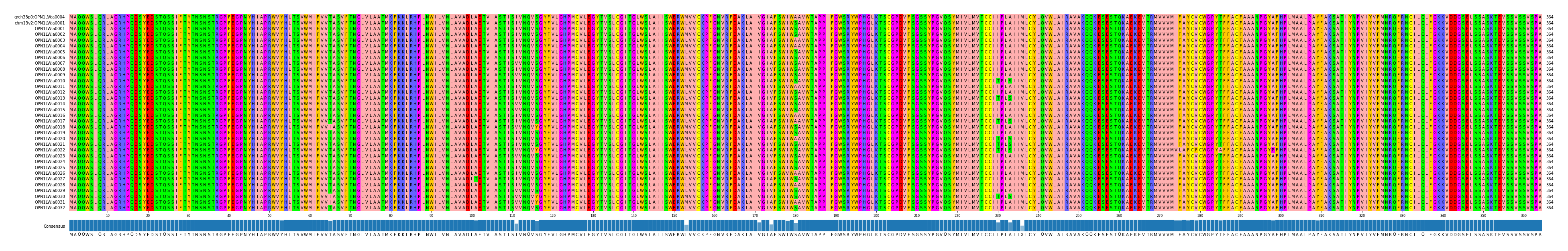 Multiple Alignments (by translate haplotype frequency)