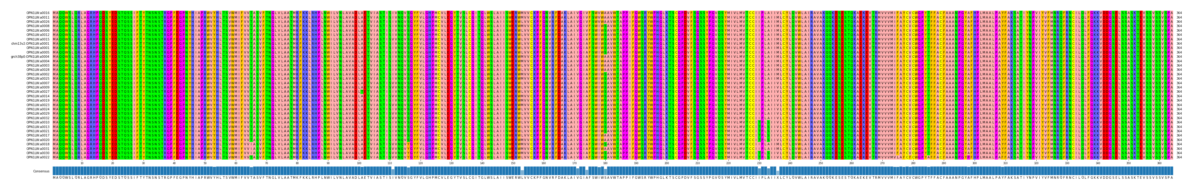 Multiple Alignments (by translate haplotype similarity)