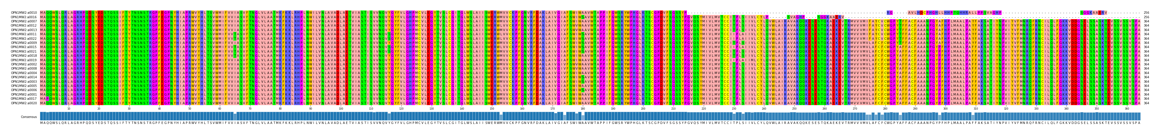 Multiple Alignments (by translate haplotype similarity)