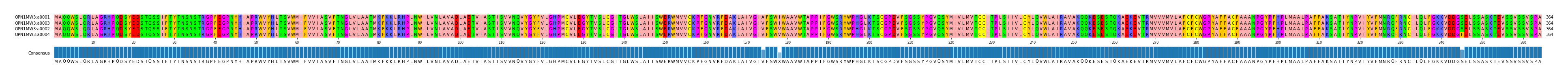 Multiple Alignments (by translate haplotype similarity)