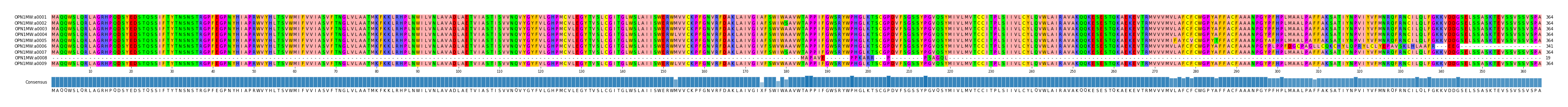 Multiple Alignments (by translate haplotype frequency)