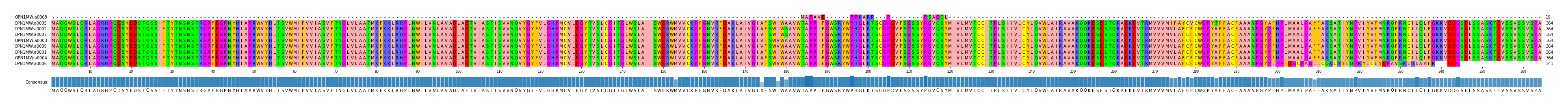 Multiple Alignments (by translate haplotype similarity)