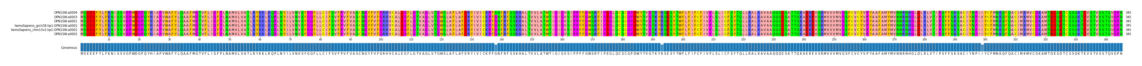 Multiple Alignments (by translate haplotype similarity)