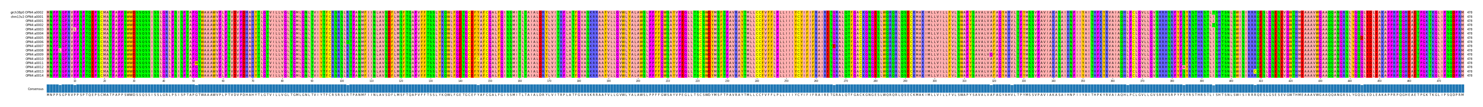Multiple Alignments (by translate haplotype frequency)