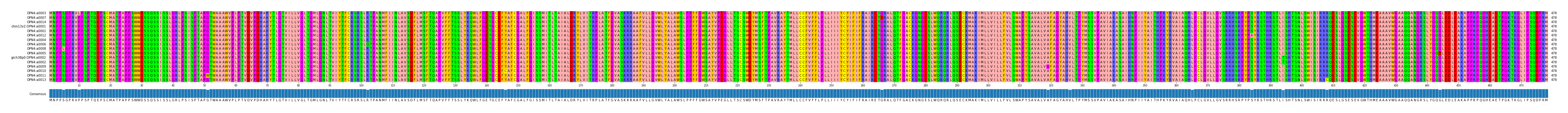 Multiple Alignments (by translate haplotype similarity)