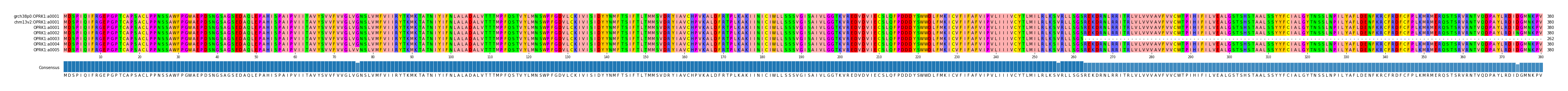 Multiple Alignments (by translate haplotype frequency)